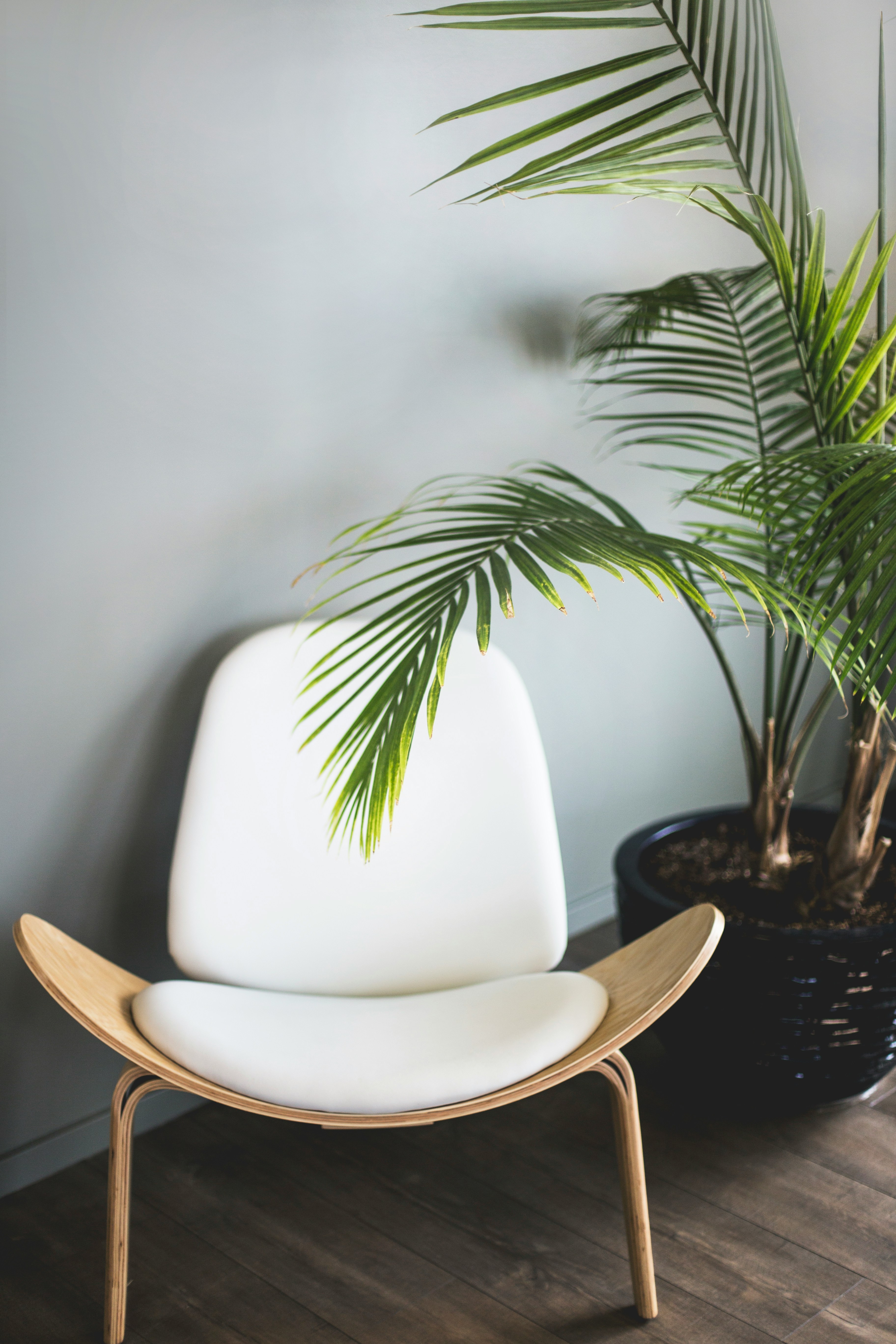 Accent Armchair